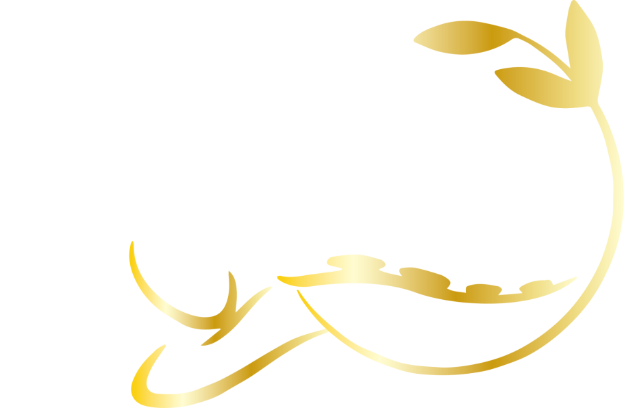Feliz Relax
